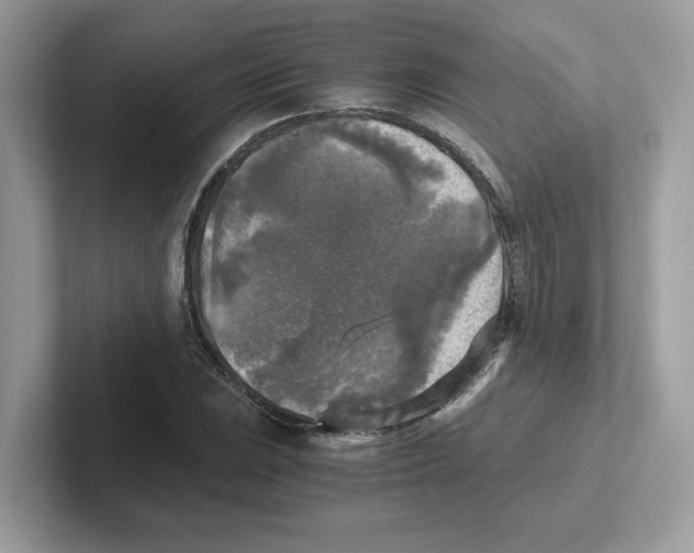 X0000100941023200807221153