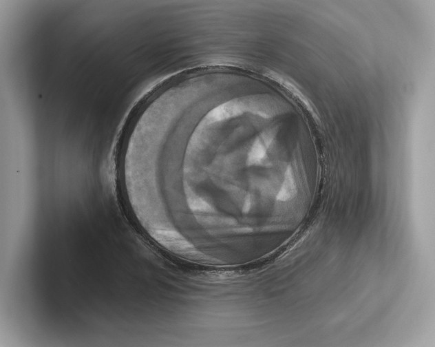 X0000100941024200807221153