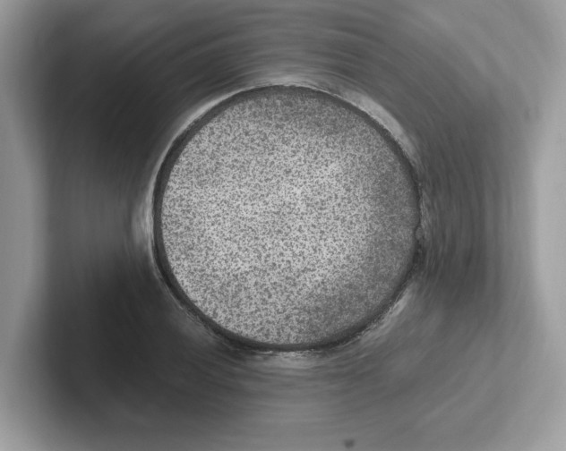 X0000100941028200807221153