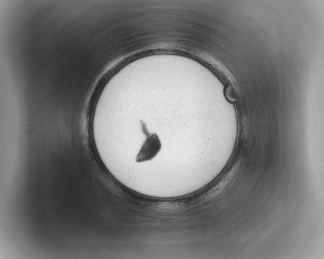 X0000100941029200807221153