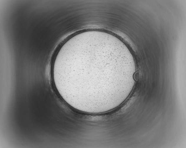 X0000100941030200807221153