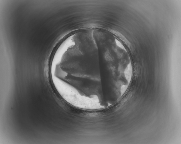 X0000100941031200807221153