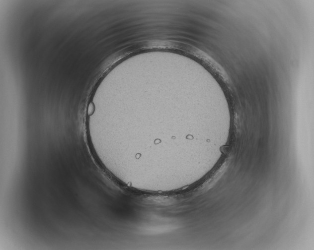 X0000100941033200807221153