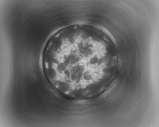 X0000100941035200807221153