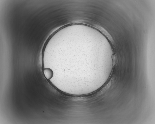 X0000100941036200807221153