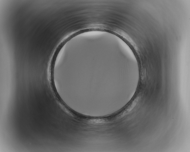 X0000100941037200807221153