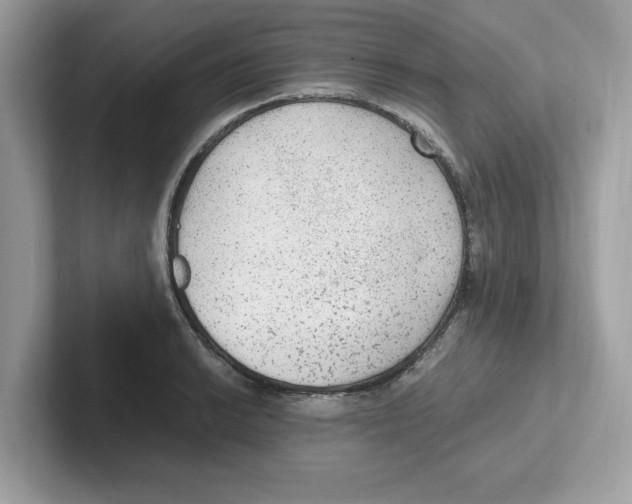 X0000100941038200807221153