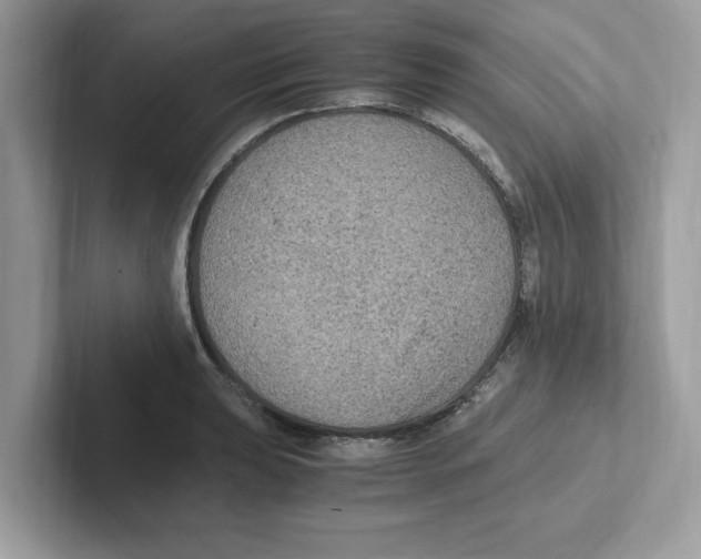 X0000100941039200807221153