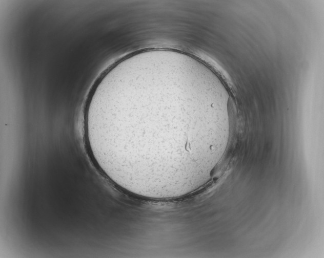 X0000100941040200807221153