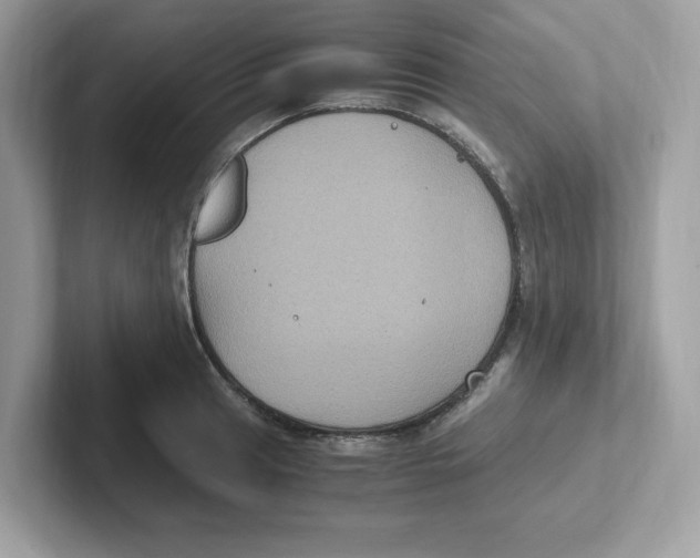 X0000100941041200807221153