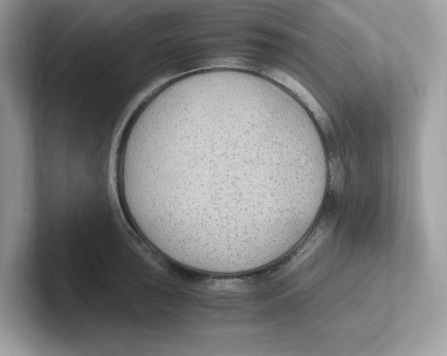 X0000100941043200807221153