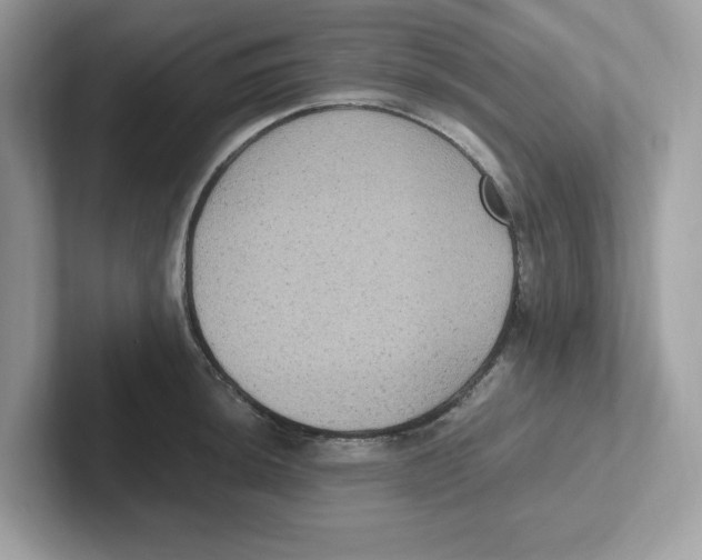 X0000100941044200807221153