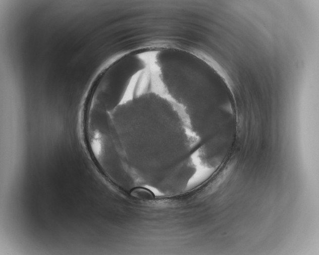 X0000100941045200807221153