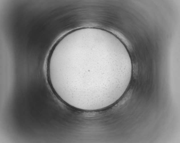 X0000100941046200807221153