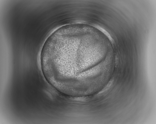 X0000100941047200807221153