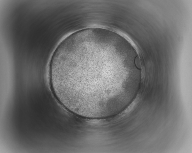 X0000100941048200807221153