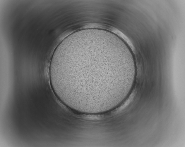 X0000100941049200807221153