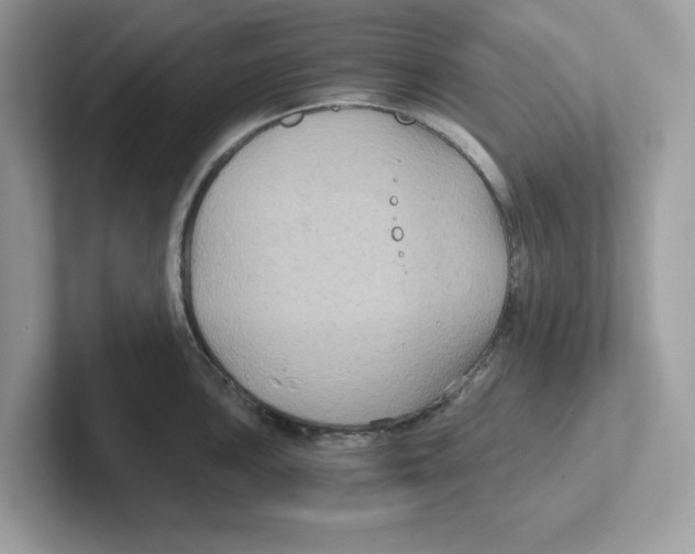 X0000100941051200807221153