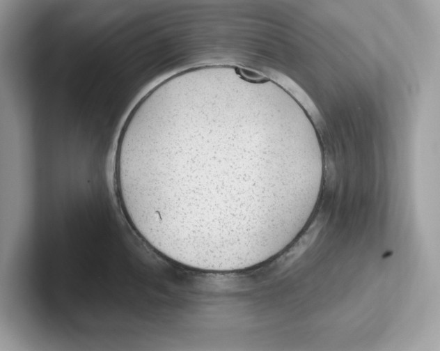 X0000100941052200807221153