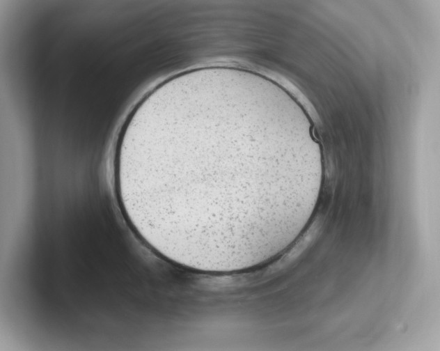 X0000100941054200807221153