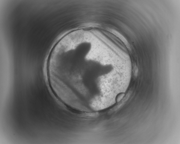 X0000100941055200807221153