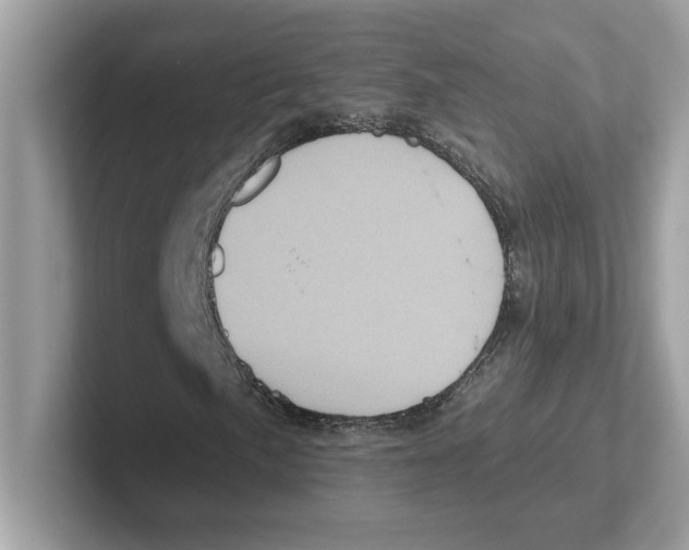 X0000100941057200807221153