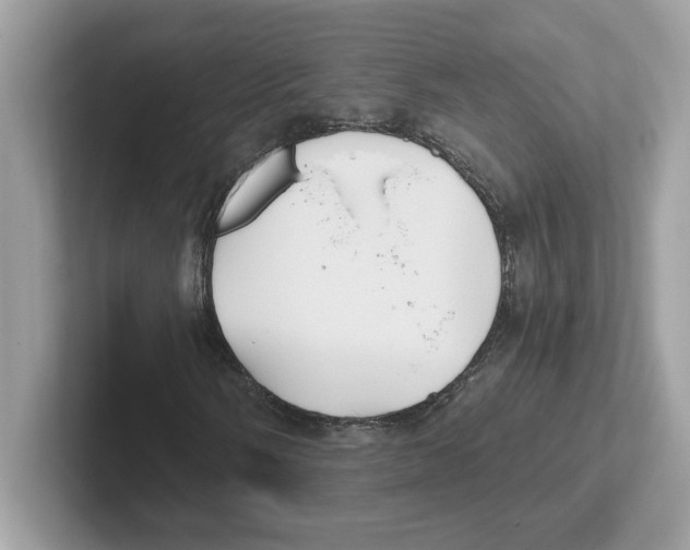 X0000100941058200807221153