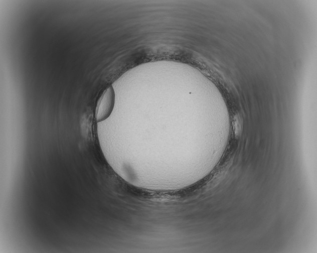 X0000100941059200807221153