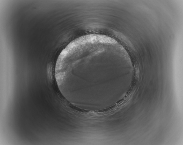 X0000100941060200807221153