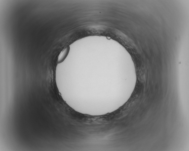 X0000100941061200807221153