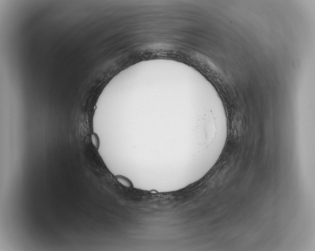 X0000100941062200807221153