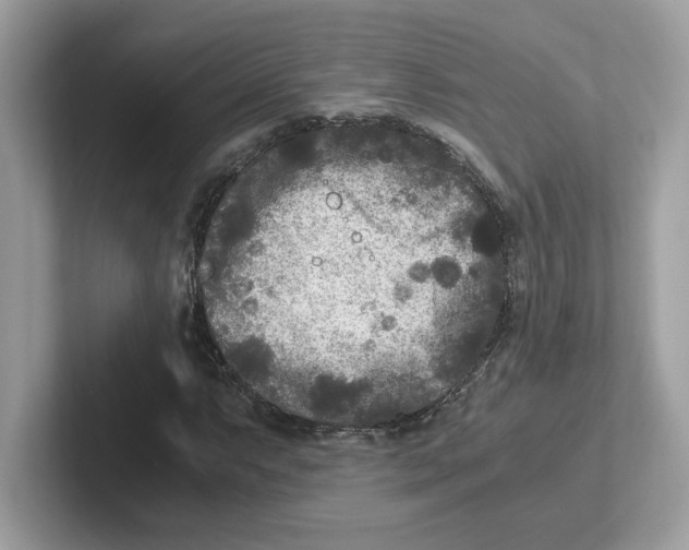 X0000100941063200807221153