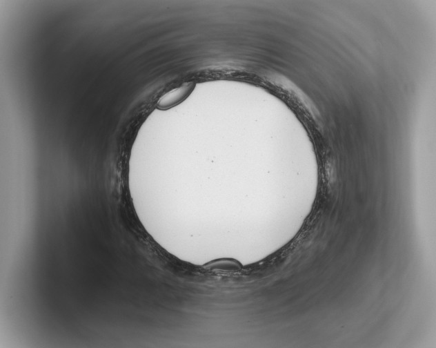 X0000100941064200807221153