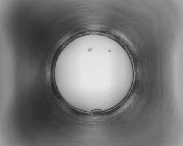 X0000100941065200807221153