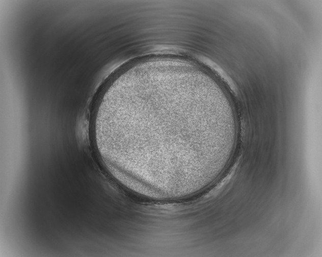 X0000100941066200807221153