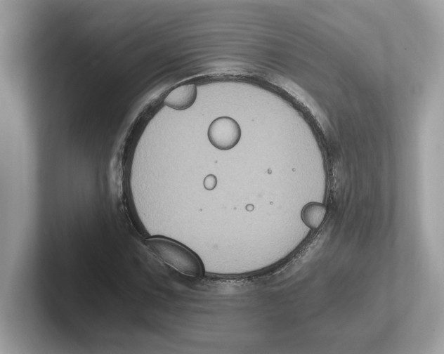 X0000100941067200807221153