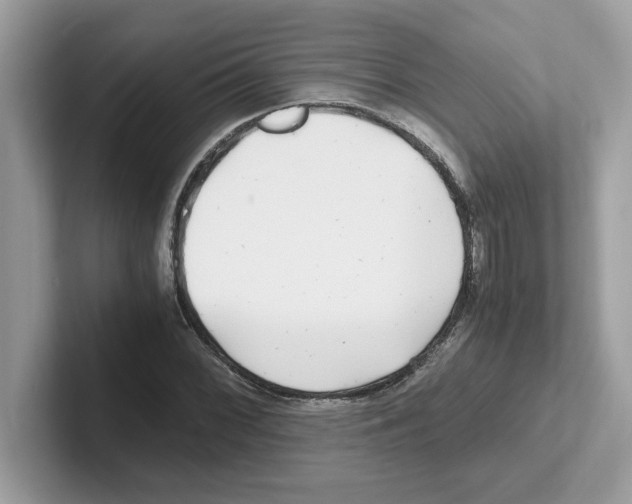 X0000100941068200807221153