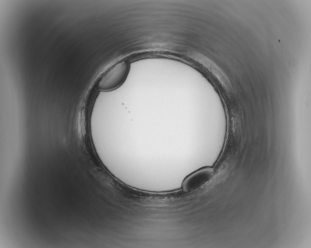 X0000100941069200807221153