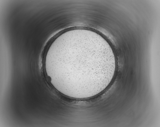 X0000100941070200807221153