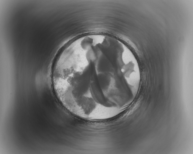 X0000100941071200807221153