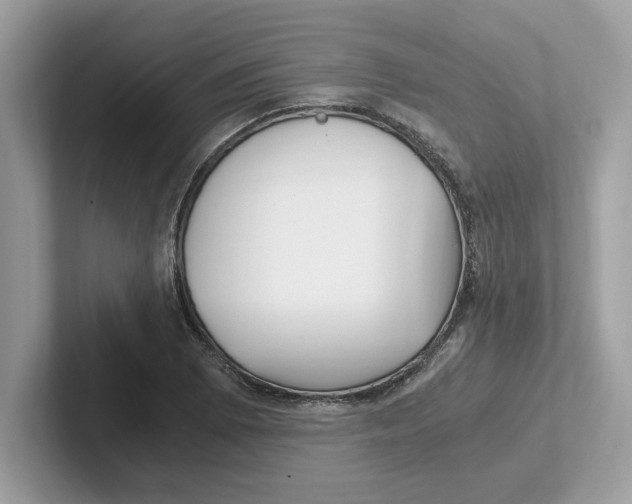 X0000100941073200807221153