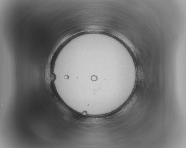 X0000100941075200807221153