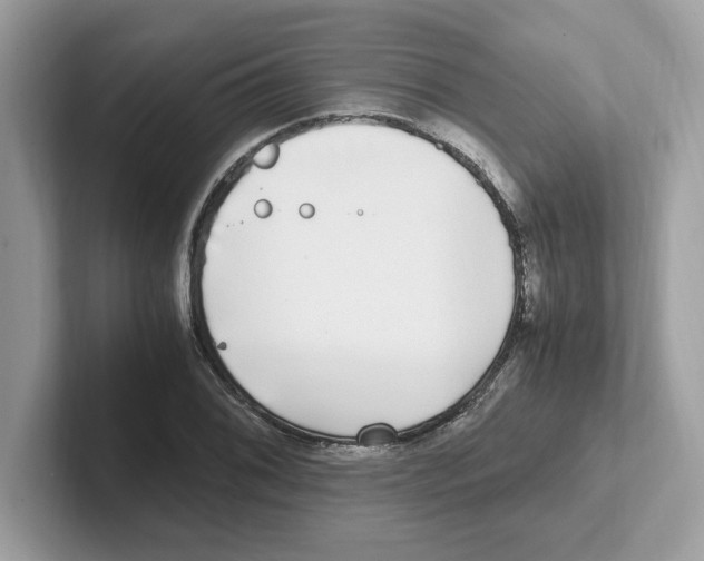 X0000100941076200807221153