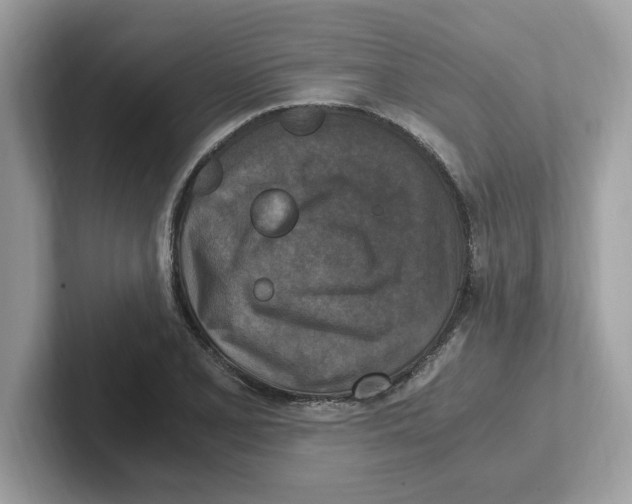 X0000100941077200807221153