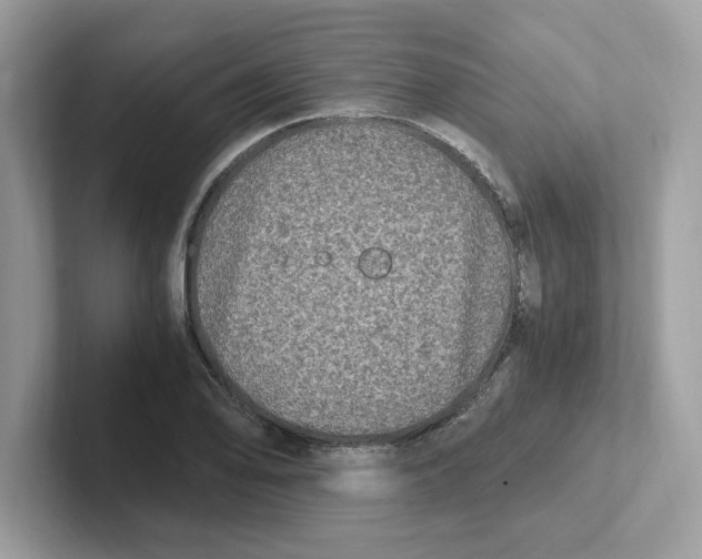 X0000100941078200807221152