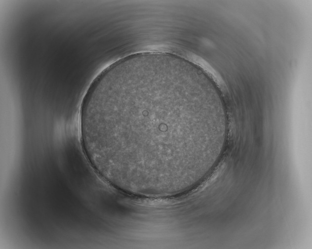 X0000100941079200807221152