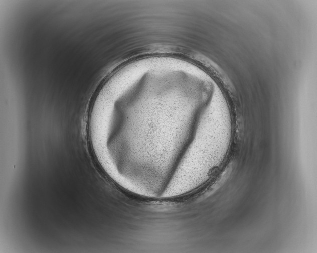 X0000100941081200807221152