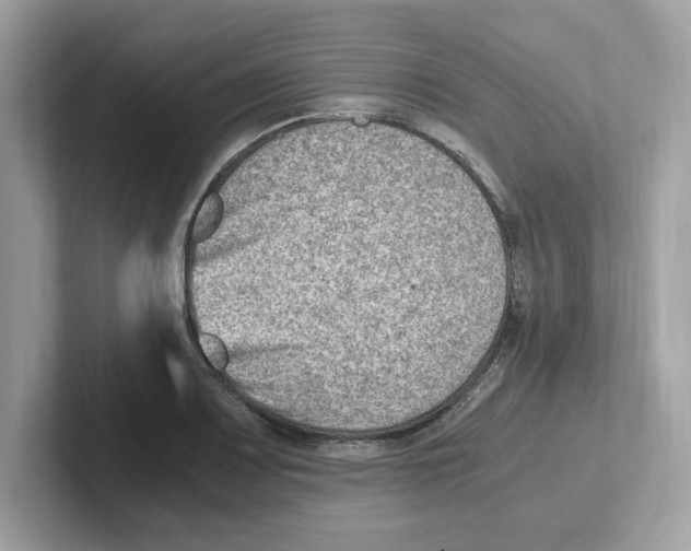 X0000100941083200807221152