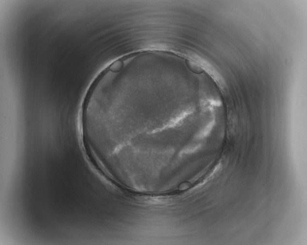 X0000100941084200807221152