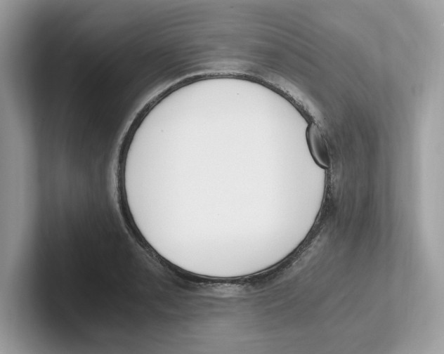 X0000100941085200807221152